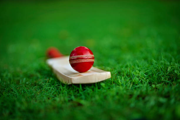 The Role of Superstition in IPL Player Rituals and Preparations