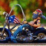 Allpaanel Review: Transforming Digital Services and the Role of Reddy Anna Book Partnerships