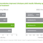 How to Efficiently Obtain Your Cricket ID: A Step‑By‑Step Guide to Getting a Cricket ID Online